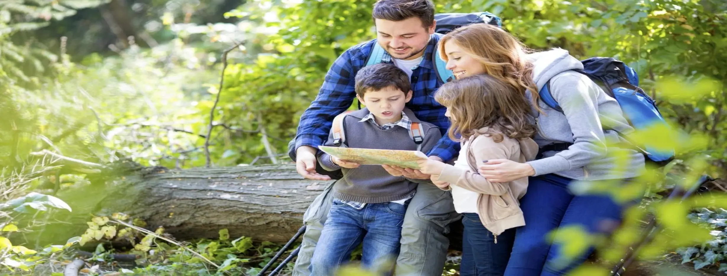 Image for Family Friendly Environment